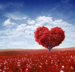 L'oroscopo dell'amore