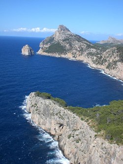 Maiorca