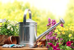 giardinaggio