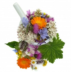 rimedi naturali fiori e piante