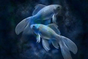 Oroscopo segno zodiacale dei Pesci